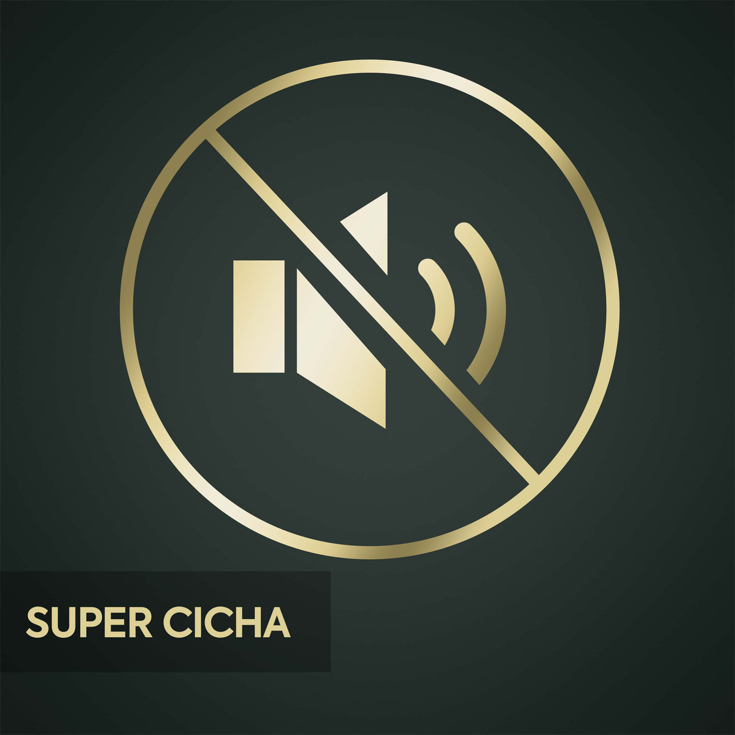 SUPER CICHA